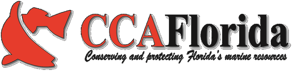 CCA FL logo